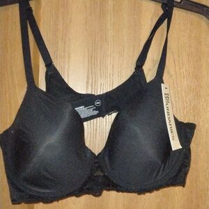 No Boundaries Elegant Black Bra - 40c